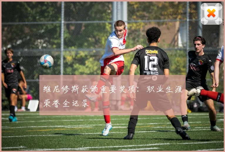 维尼修斯获颁重要奖项:职业生涯荣誉全记录