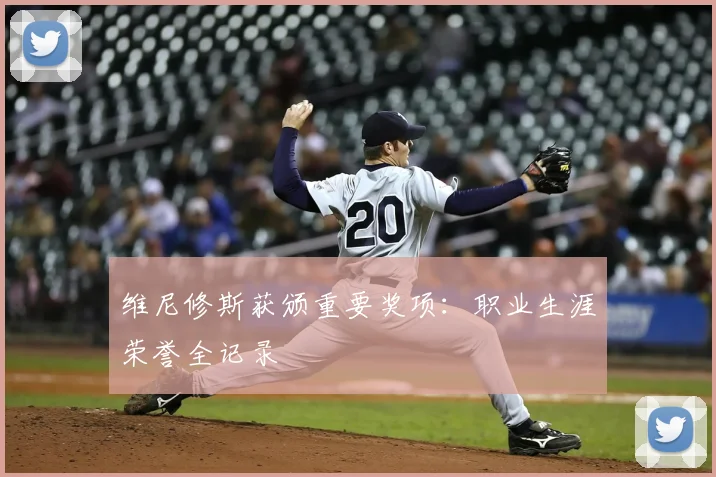 维尼修斯获颁重要奖项:职业生涯荣誉全记录