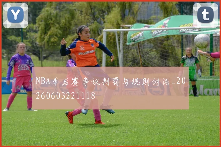 NBA季后赛争议判罚与规则讨论_20260603221118